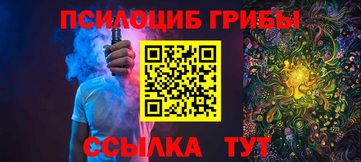 Тайшет  Псилоцибиновые грибы прущие грибы  Псилоцибиновые грибы Psilocybe  Вход с VPN 